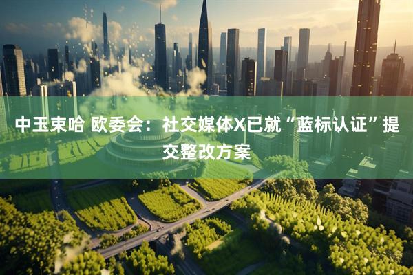 中玉束哈 欧委会：社交媒体X已就“蓝标认证”提交整改方案