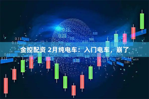 金控配资 2月纯电车：入门电车，崩了