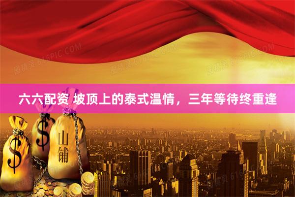 六六配资 坡顶上的泰式温情，三年等待终重逢