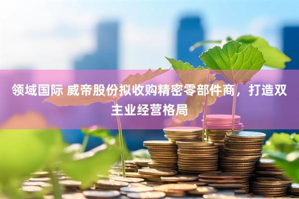 领域国际 威帝股份拟收购精密零部件商，打造双主业经营格局