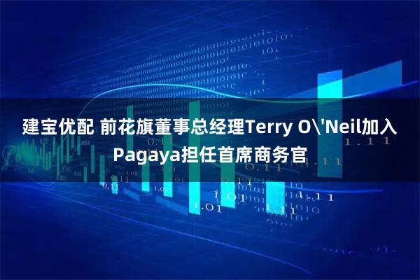 建宝优配 前花旗董事总经理Terry O'Neil加入Pagaya担任首席商务官
