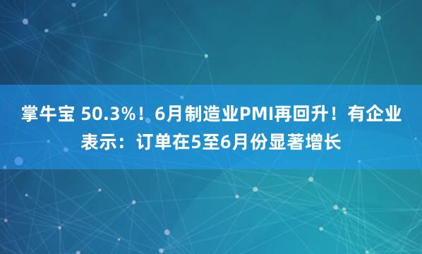 掌牛宝 50.3%！6月制造业PMI再回升！有企业表示：订单在5至6月份显著增长